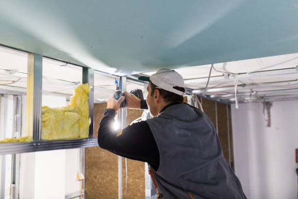 Best Fiberglass Insulation in Luna Pier, MI