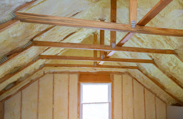 Best Geographic-Specific Insulation Services in Luna Pier, MI