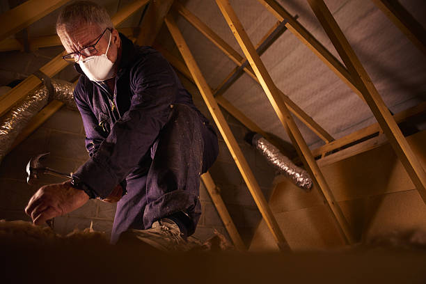 Trusted Luna Pier, MI Insulation Contractor Experts